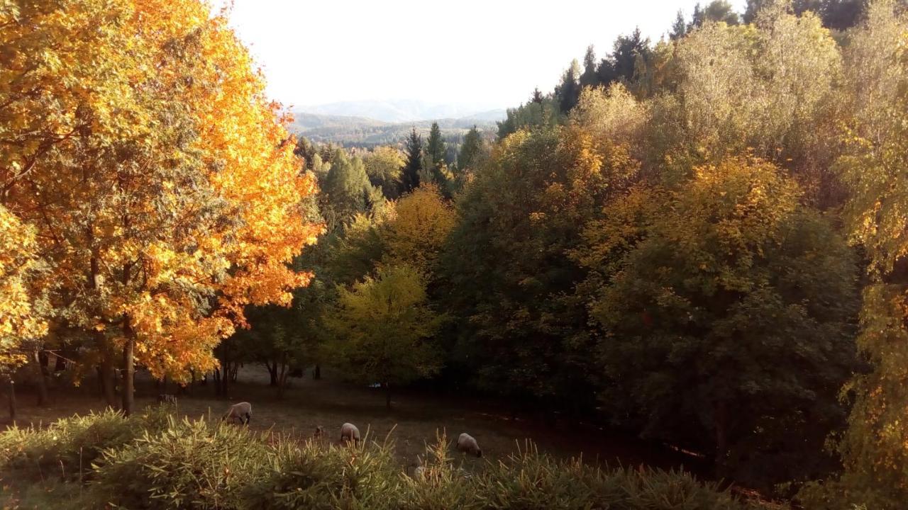 Apartmany Na Lonte